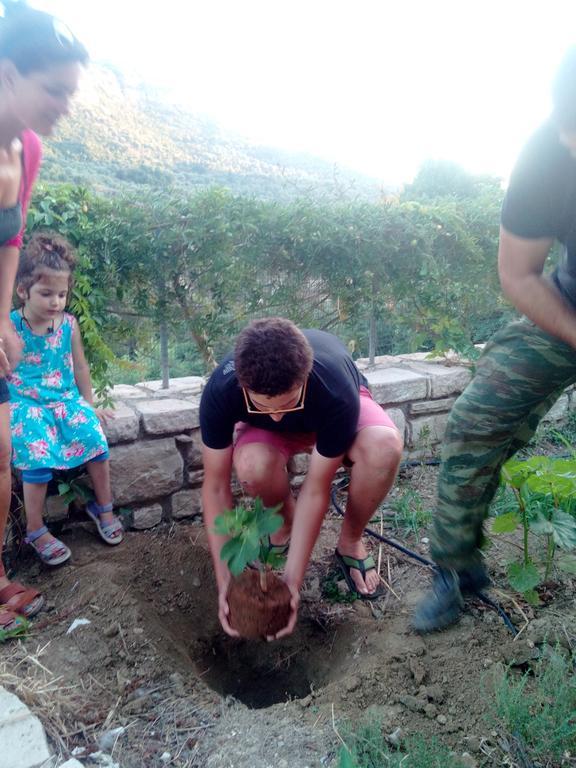 Keramos Otel Zarós Dış mekan fotoğraf