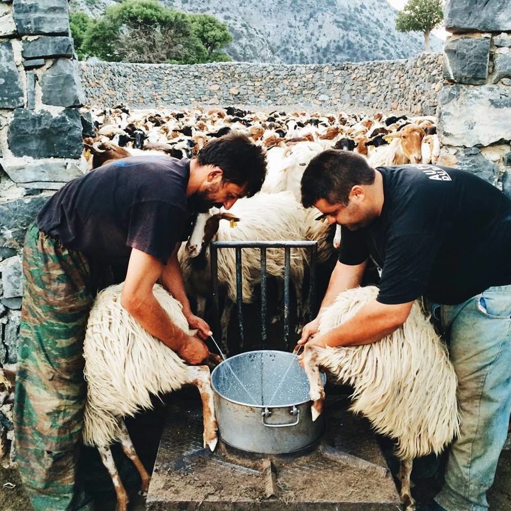 Keramos Otel Zarós Dış mekan fotoğraf